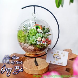 Cây Cảnh