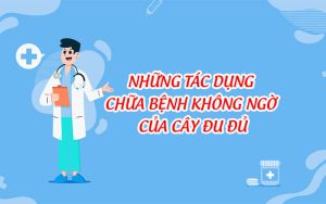 Những tác dụng chữa bệnh không ngờ của cây đu đủ